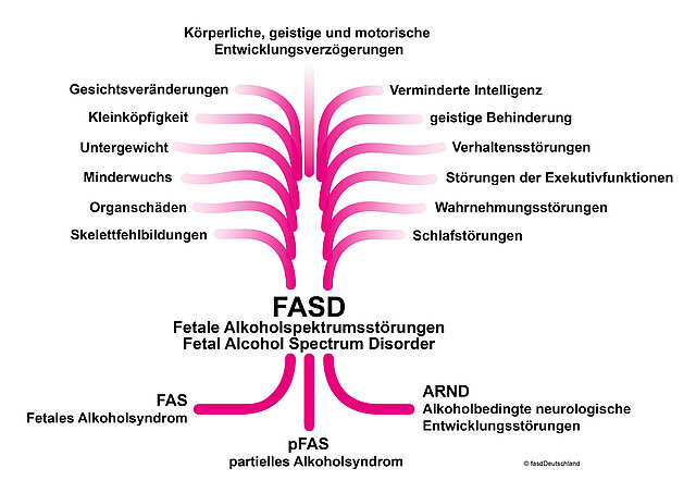 Schaubild der Symptome bei FASD